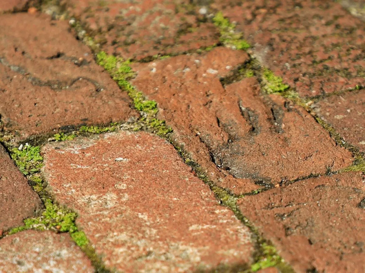a close up of a rock