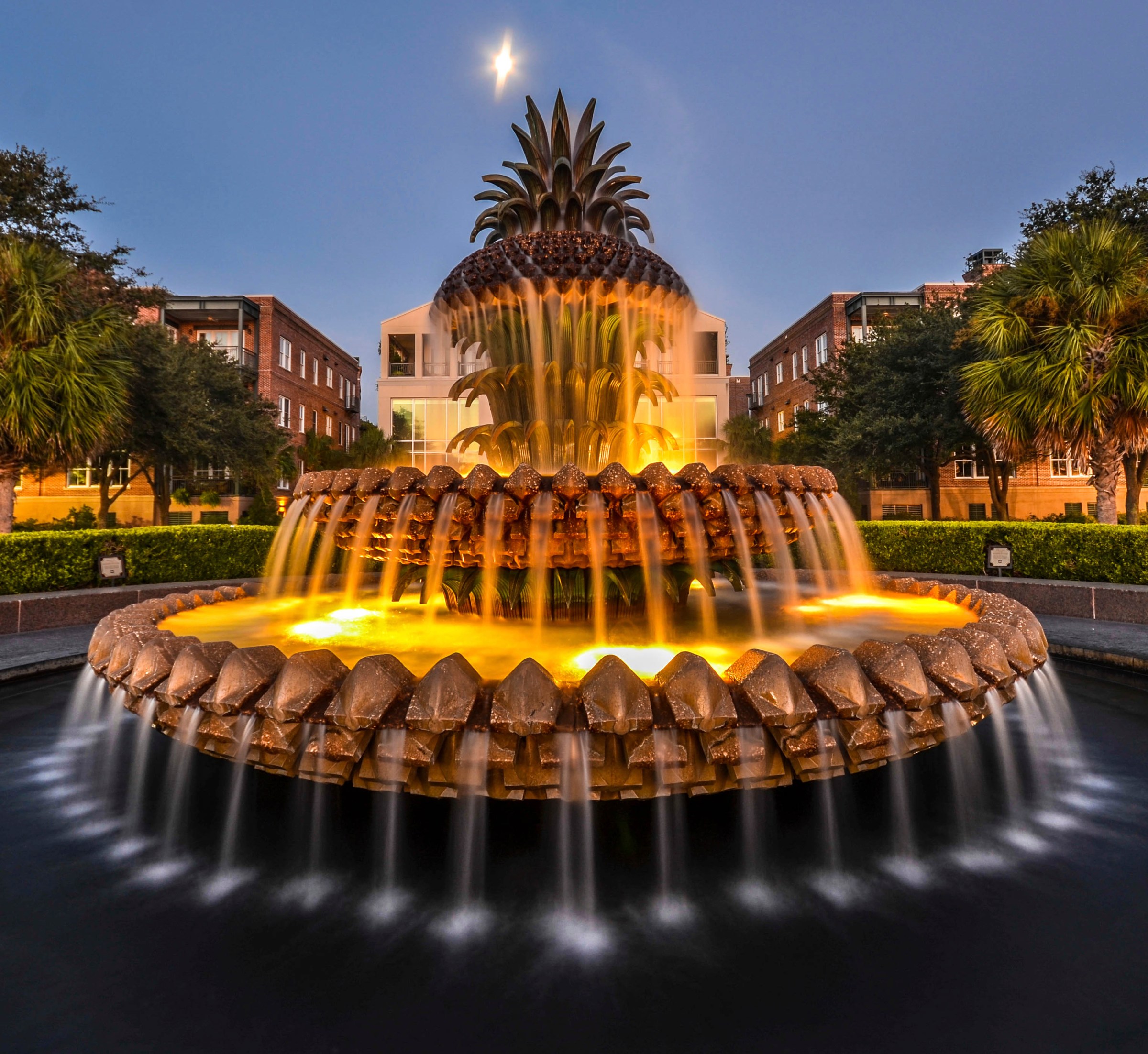 iStock_000027601039_Large palm tree