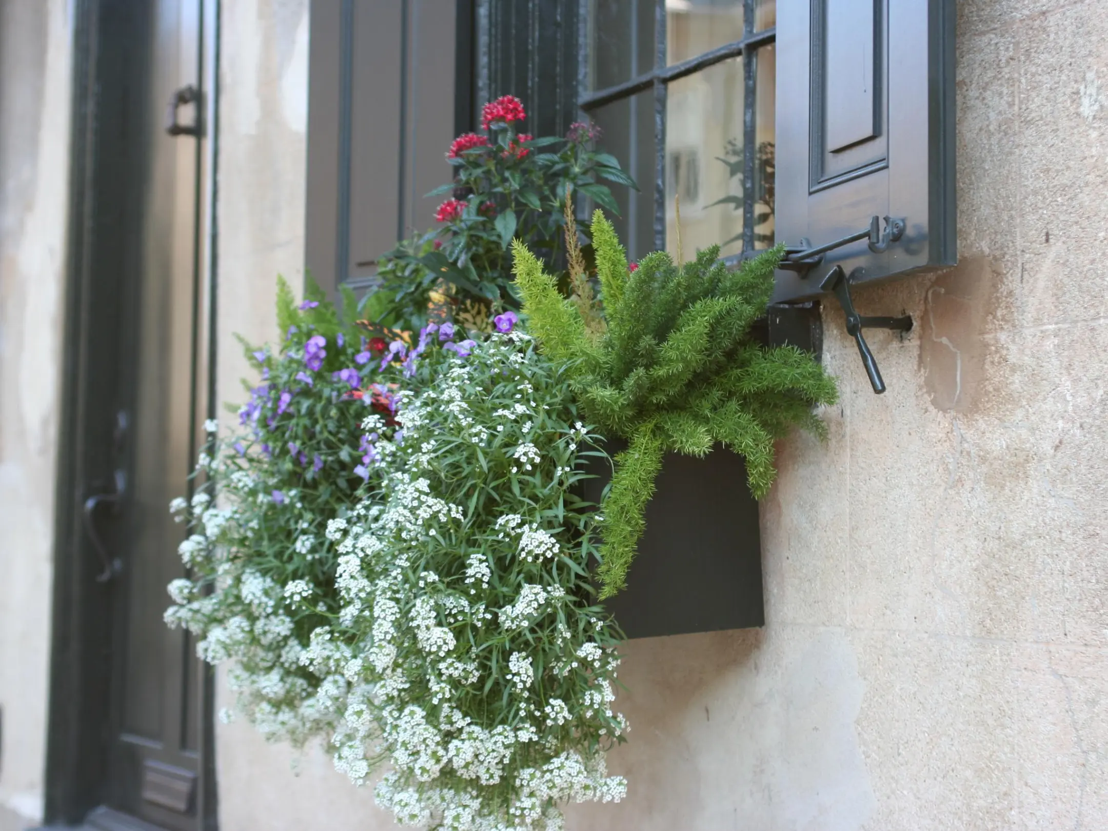 Charleston's Alleys and Hidden Passages Image 3