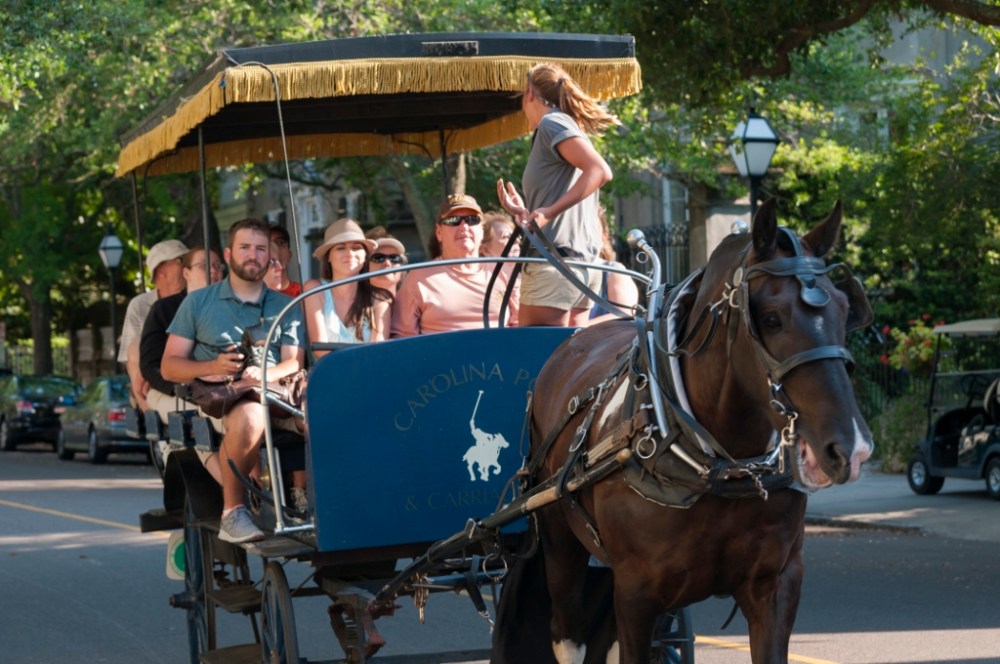 a man riding a horse drawn carriage on a city street