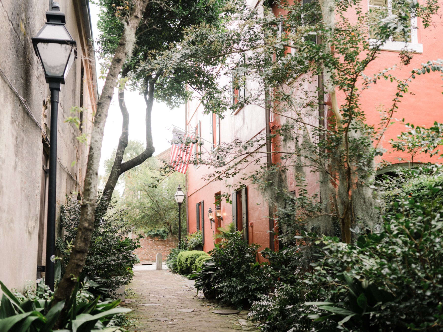 a tree in front of a brick building