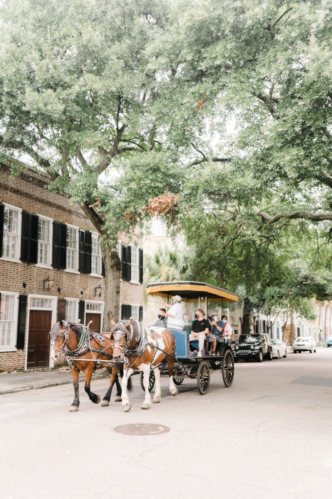 a person riding a horse drawn carriage on a city street
